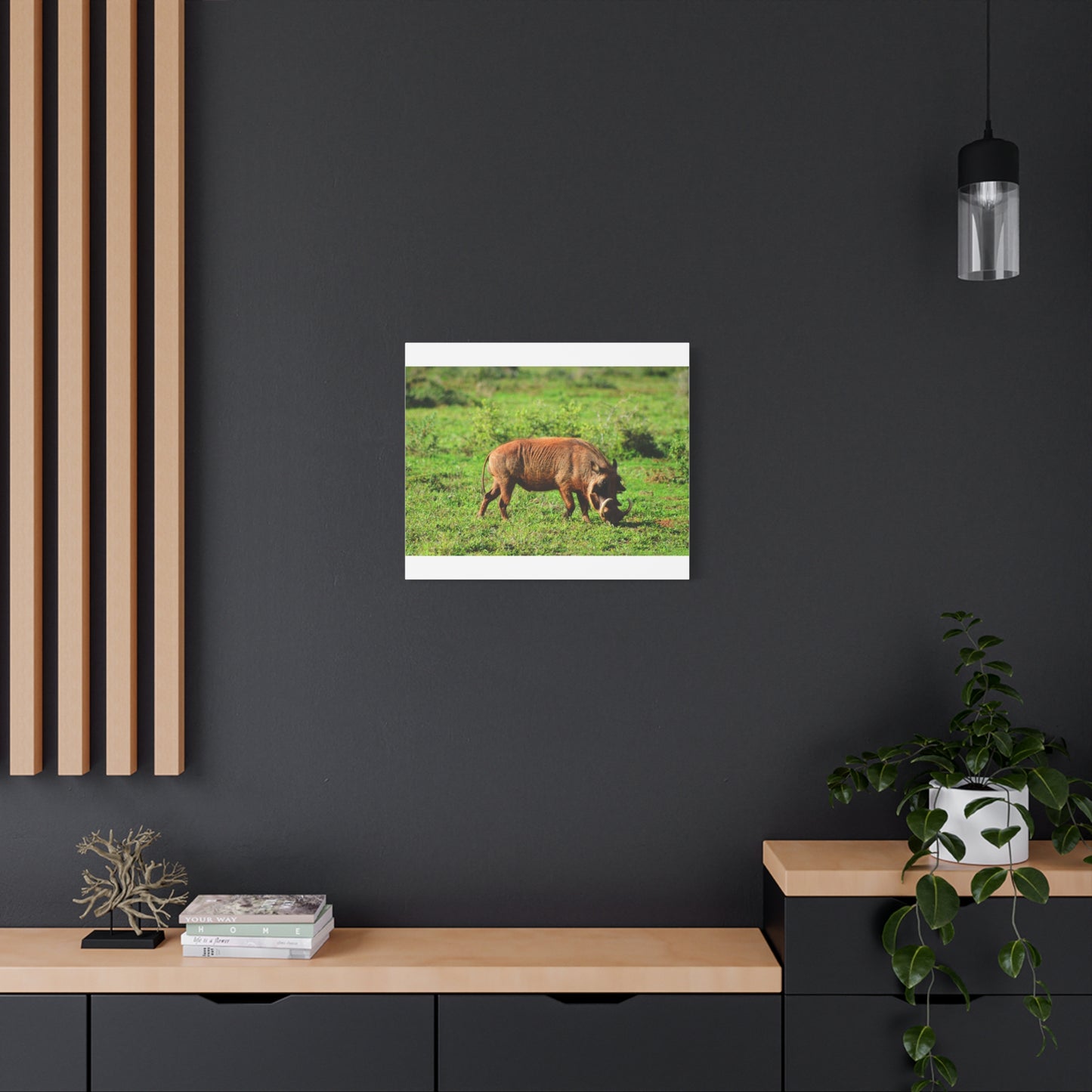 African Warthog - Canvas Print
