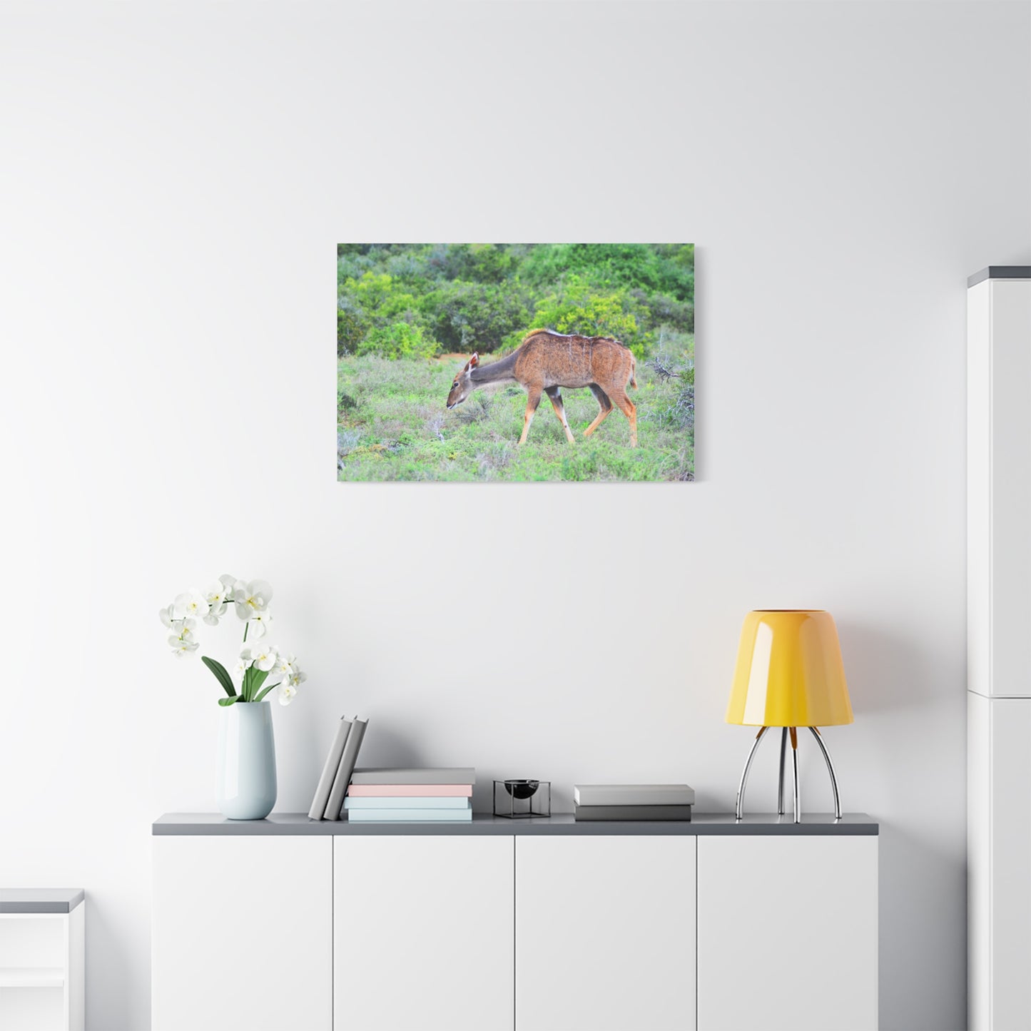 Africa Kudu Cow - Canvas Print