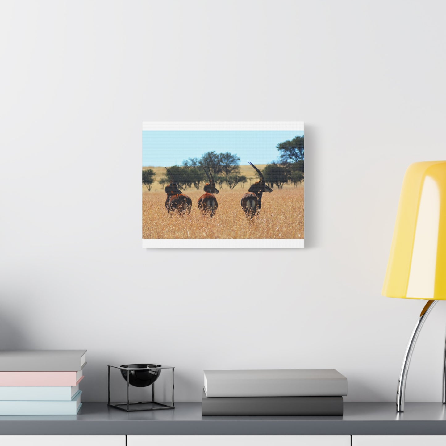 Sable Trio in Africa Canvas Print