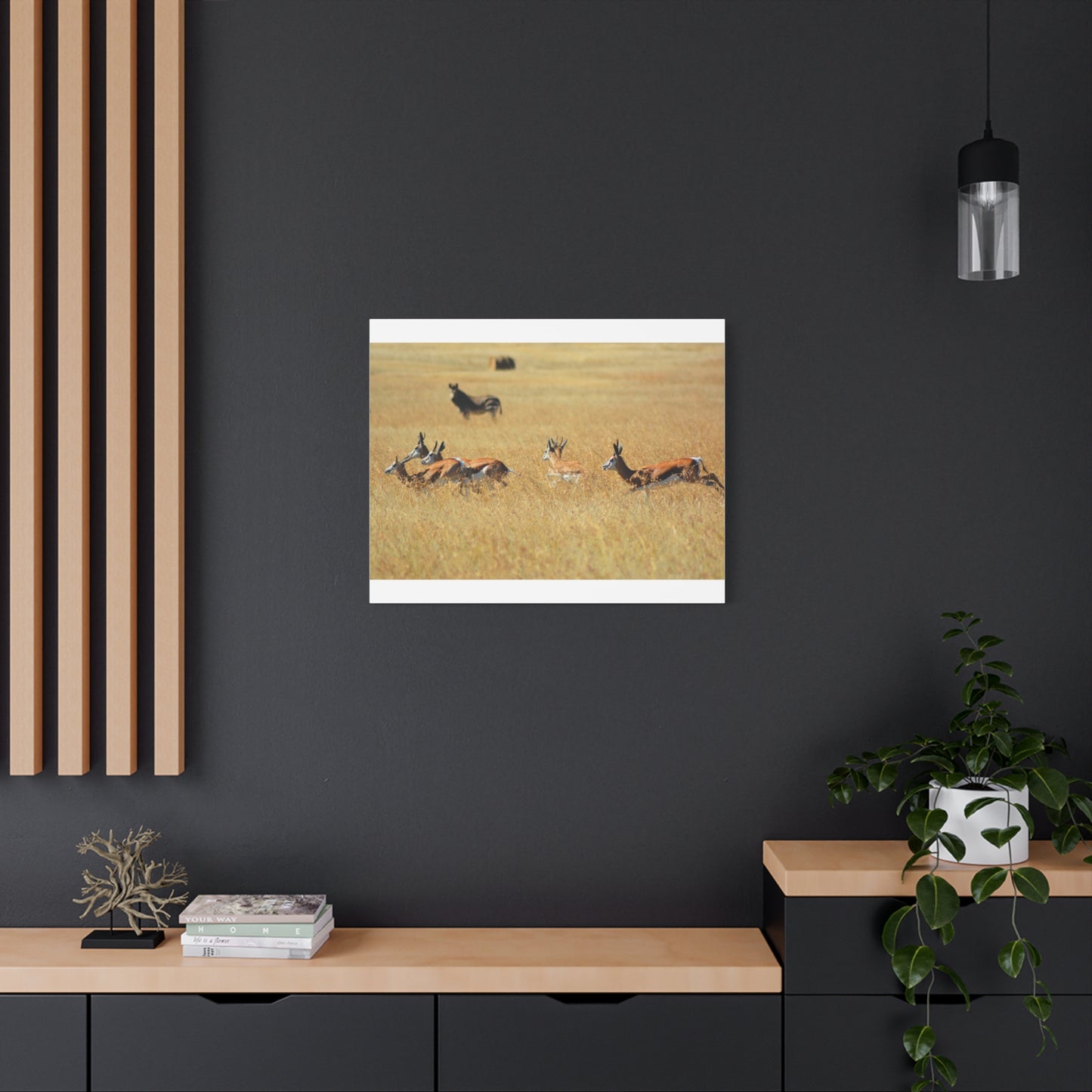 Springbok Herd in African Savannah