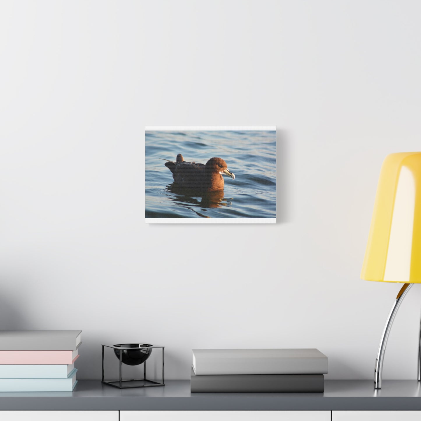 Bird Art Wall Decor, Coastal Wall Art, Ocean Decor, Nature Photography, Sea Bird Print