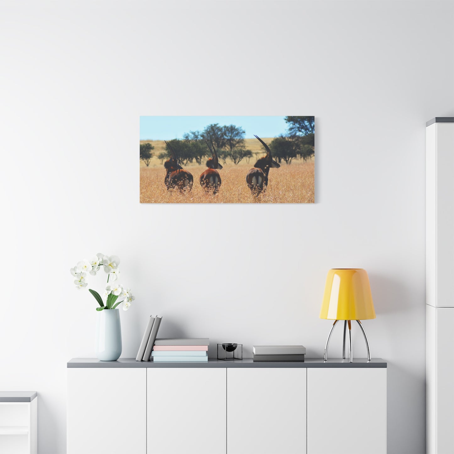 Sable Trio in Africa Canvas Print