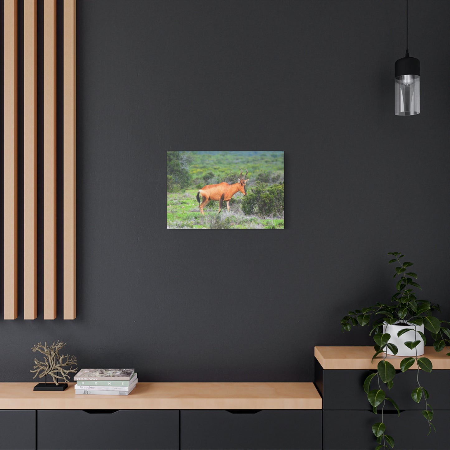 Africa Red Hartebeest - Canvas Print