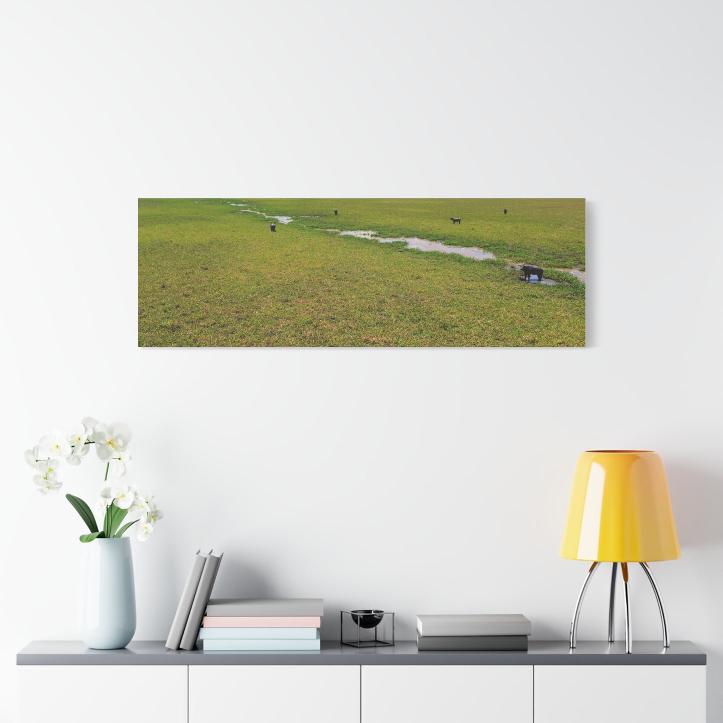 Asiatic Water Buffalo Australian Outback - Canvas Print