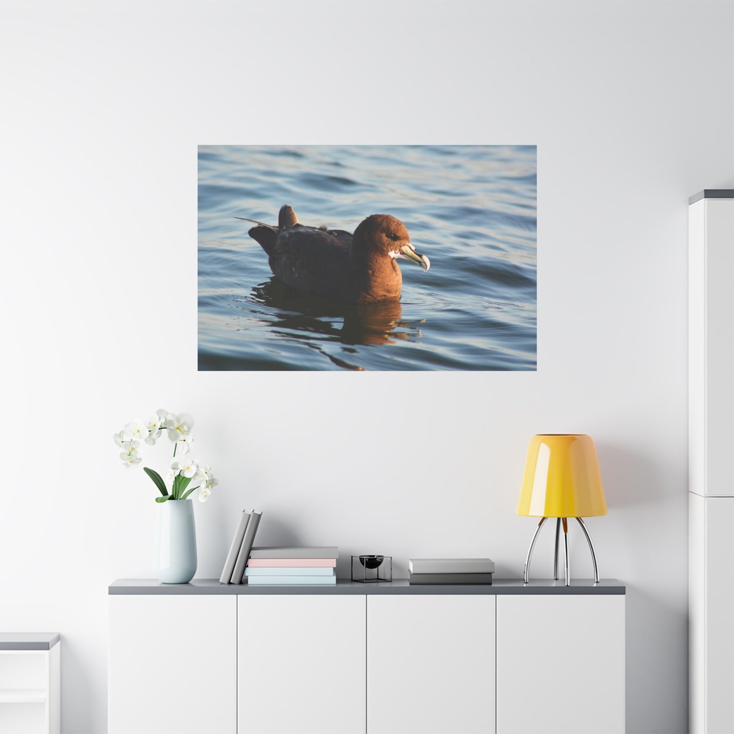 Bird Art Wall Decor, Coastal Wall Art, Ocean Decor, Nature Photography, Sea Bird Print
