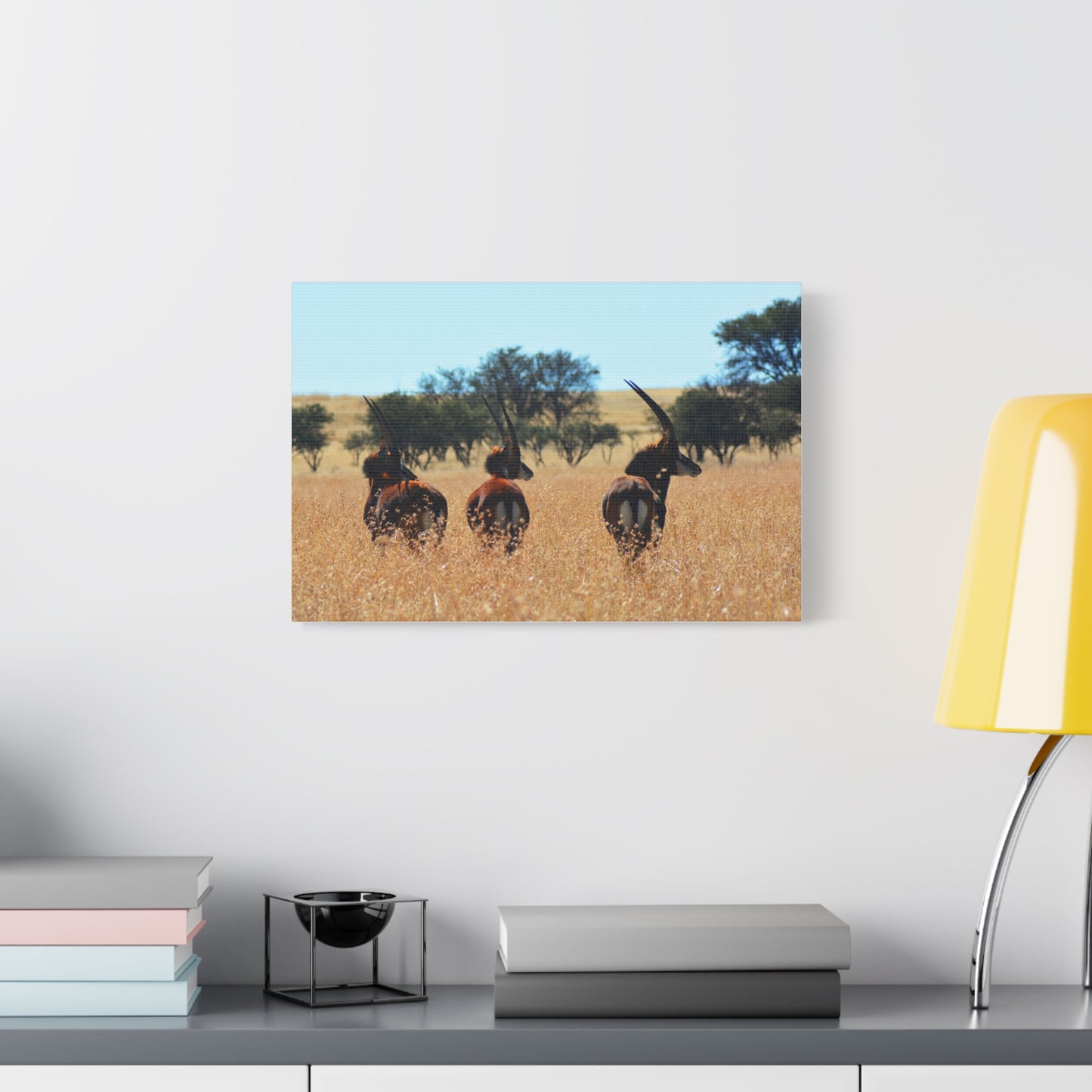 Sable Trio in Africa Canvas Print