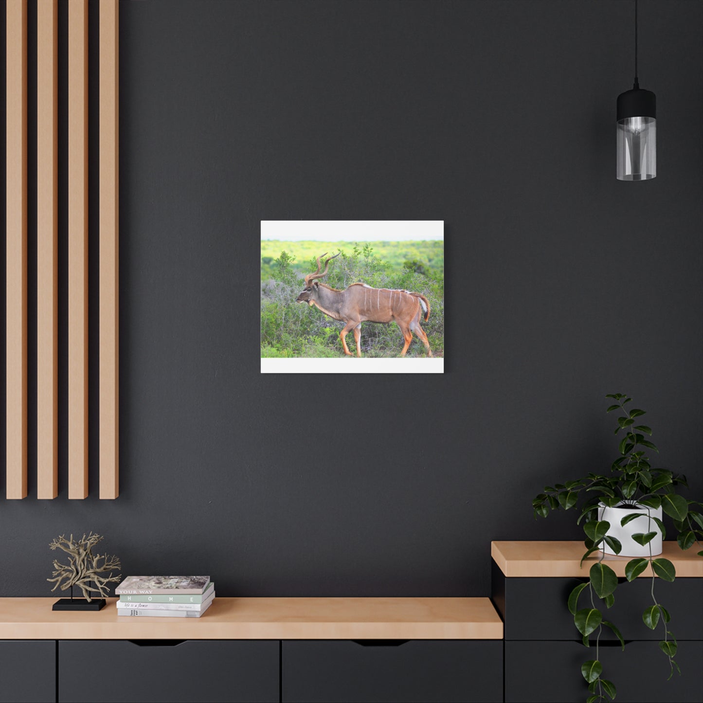 Africa Kudu Bull - Canvas Print