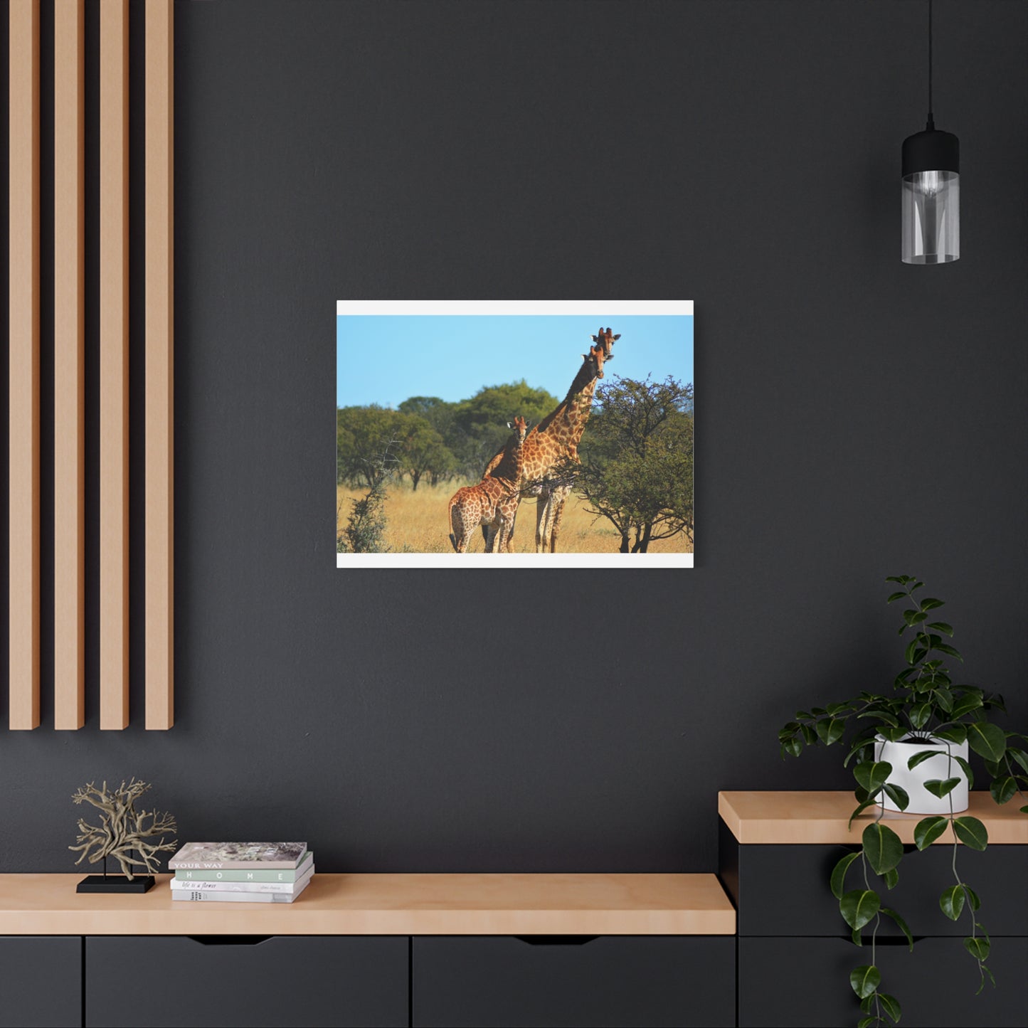 Giraffe Family in Africa
