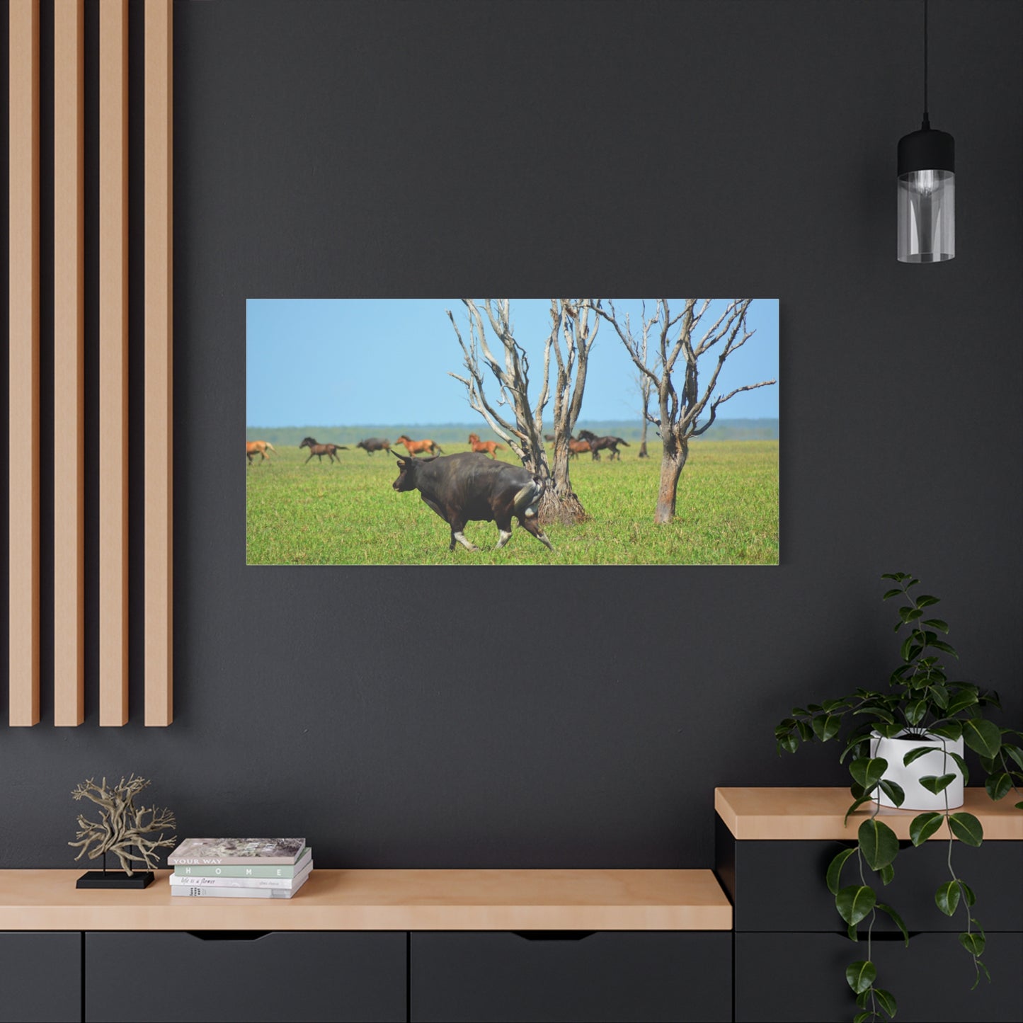 Australia Banteng - Canvas Print