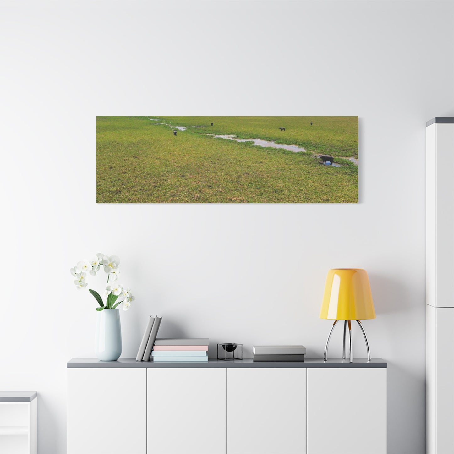 Asiatic Water Buffalo Australian Outback - Canvas Print
