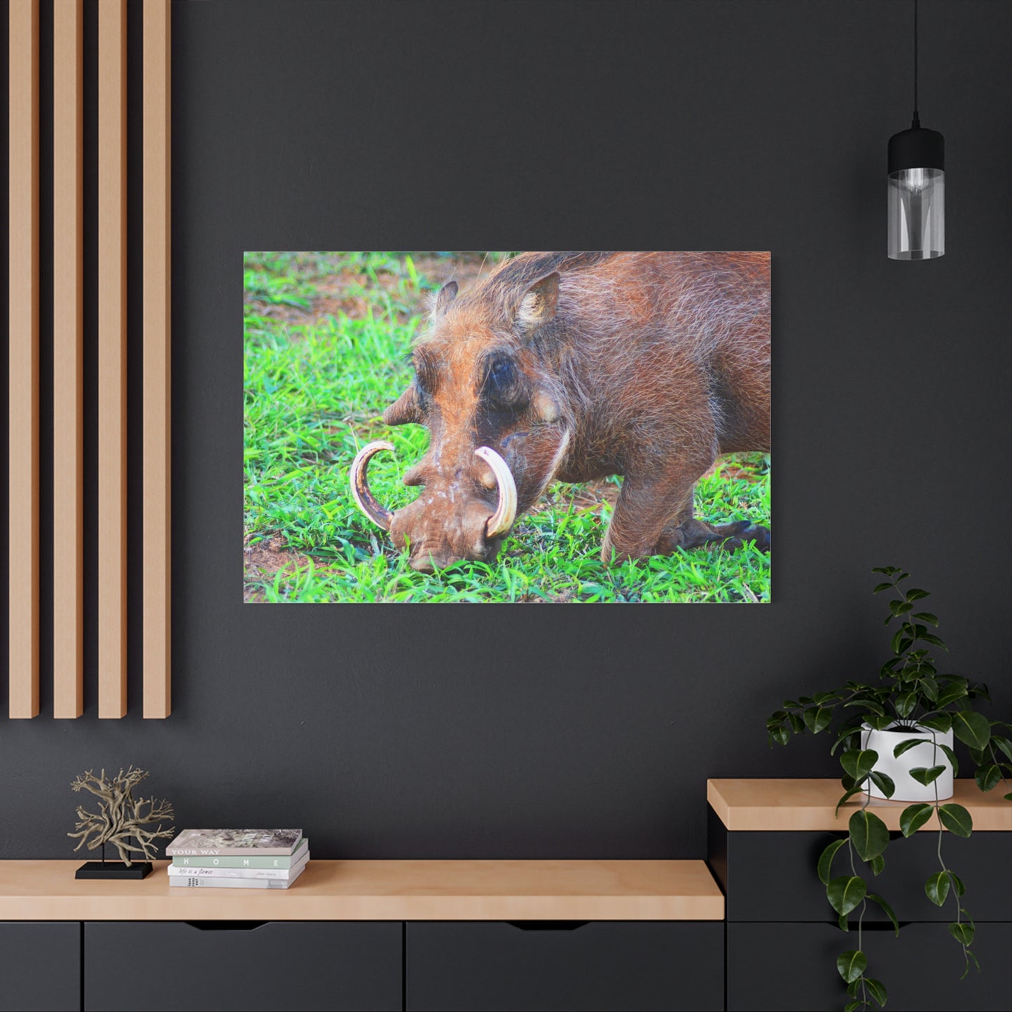 African Warthog Eating - Canvas Print