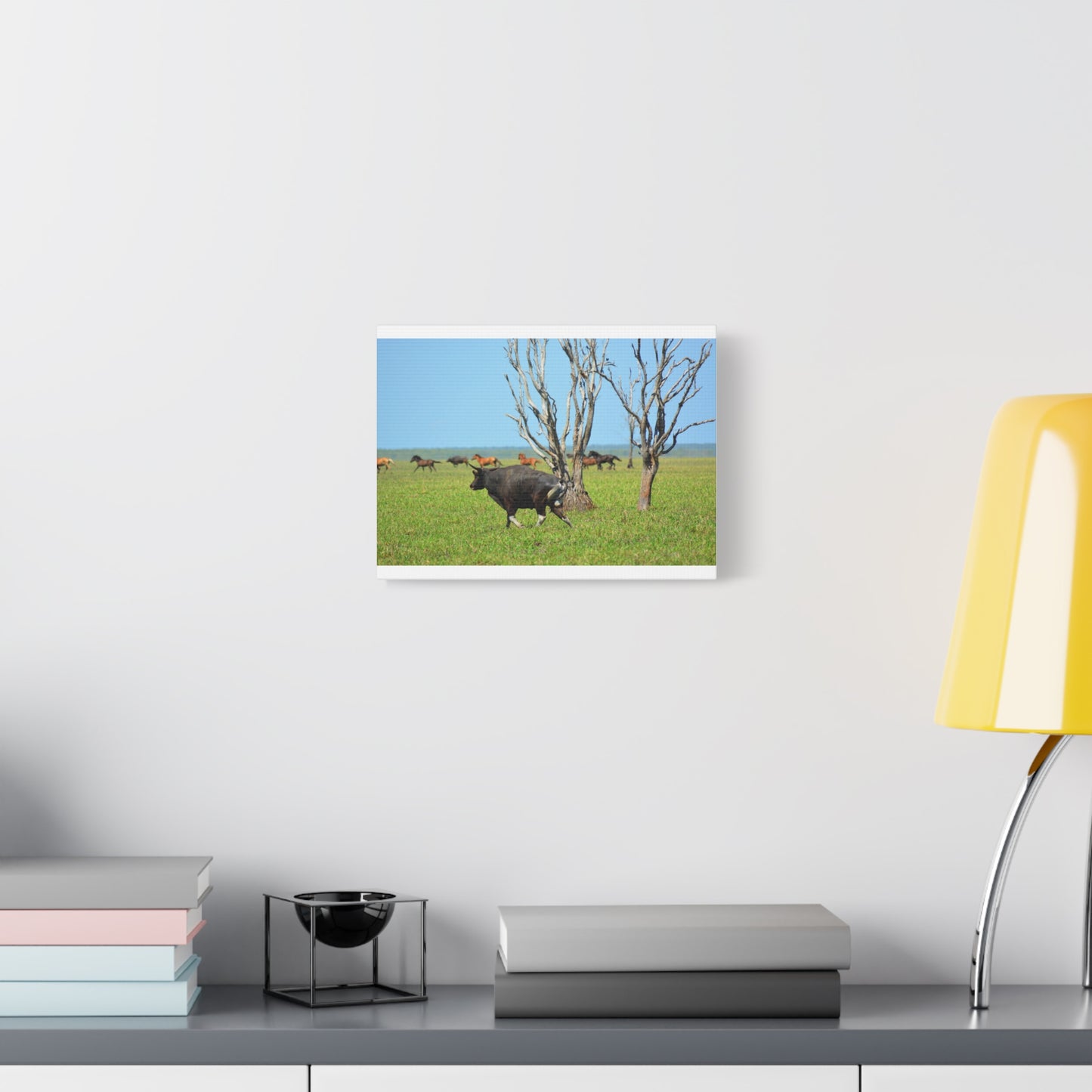 Australia Banteng - Canvas Print
