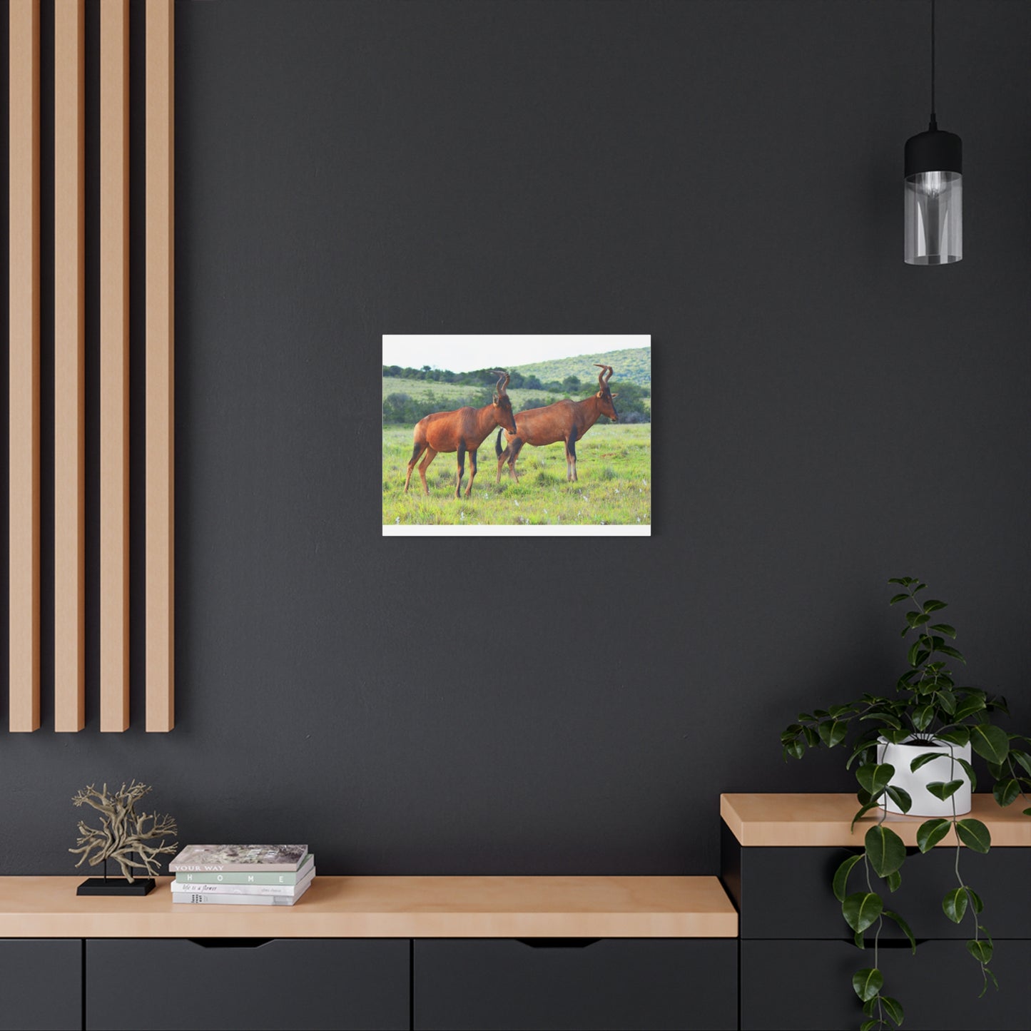 African Red Hartebeest - Canvas Print