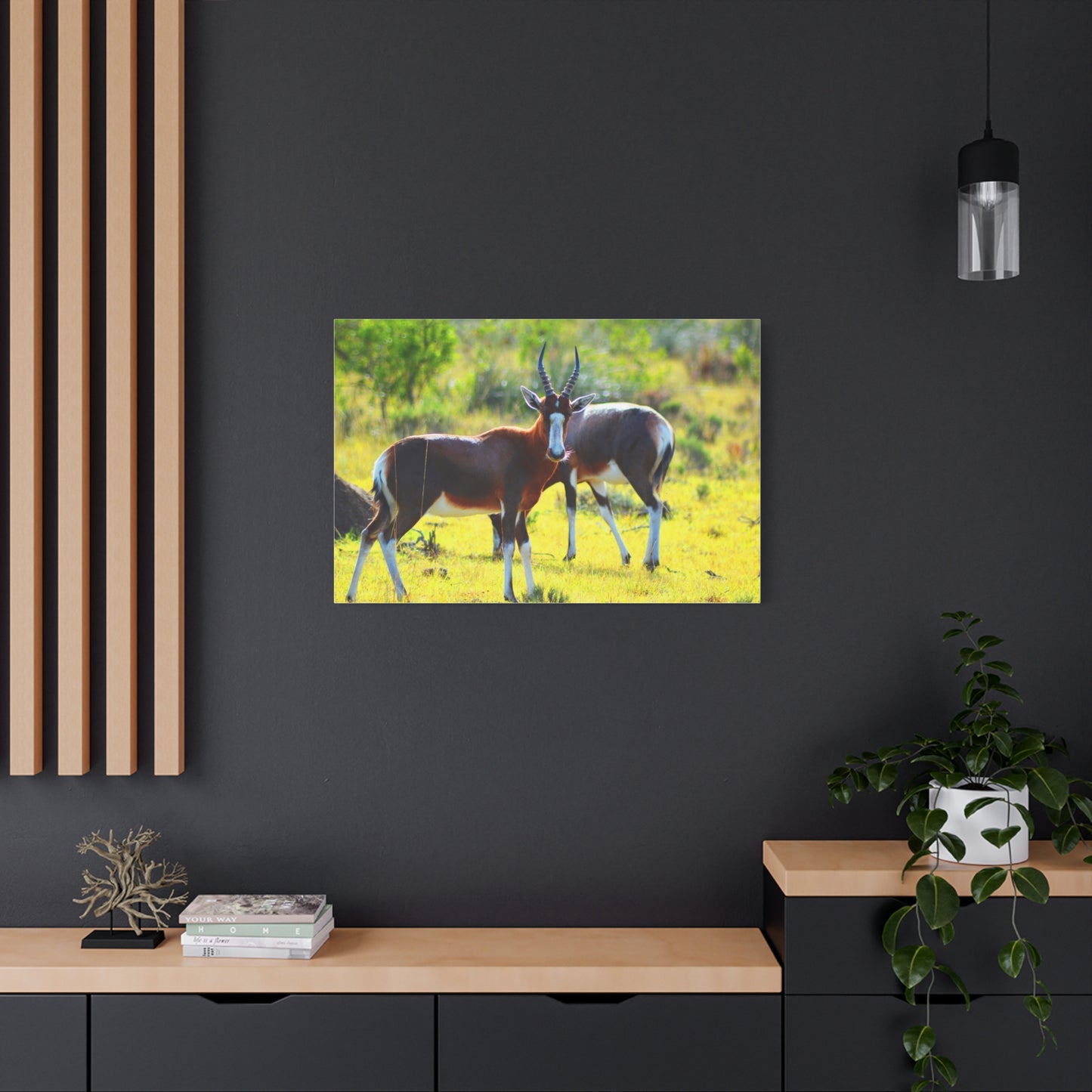 Blesbok in Africa - Canvas Print