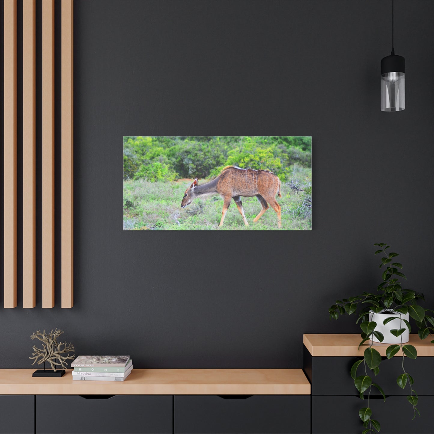 Africa Kudu Cow - Canvas Print