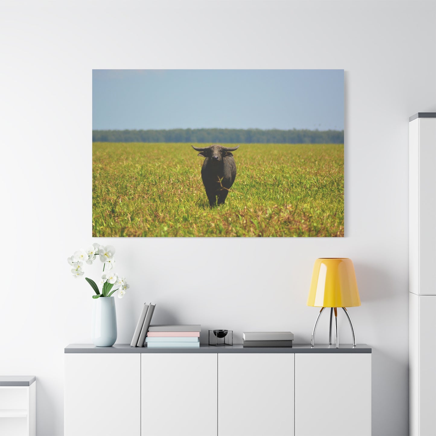 Asiatic Water Buffalo Australian Outback - Canvas Print