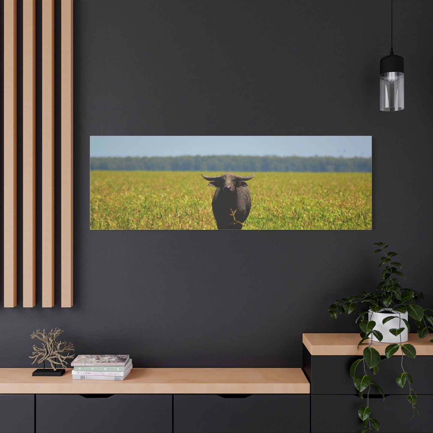 Asiatic Water Buffalo Australian Outback - Canvas Print