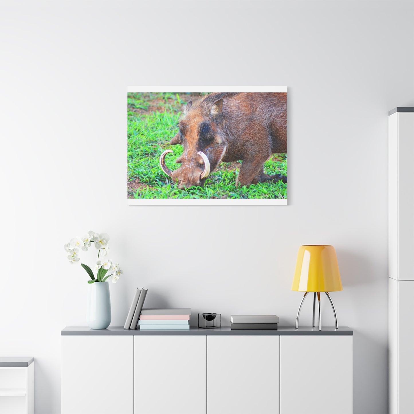 African Warthog Eating - Canvas Print