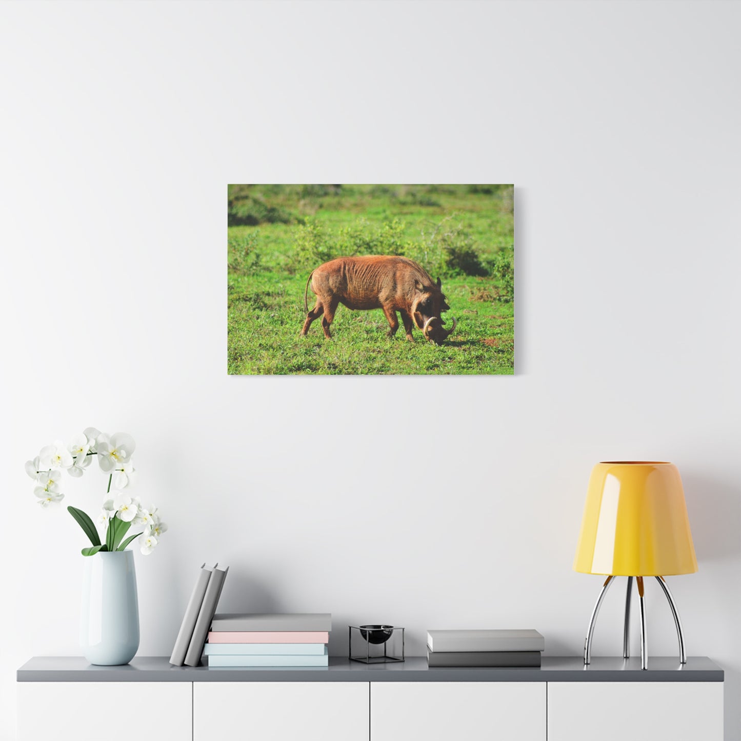 African Warthog - Canvas Print