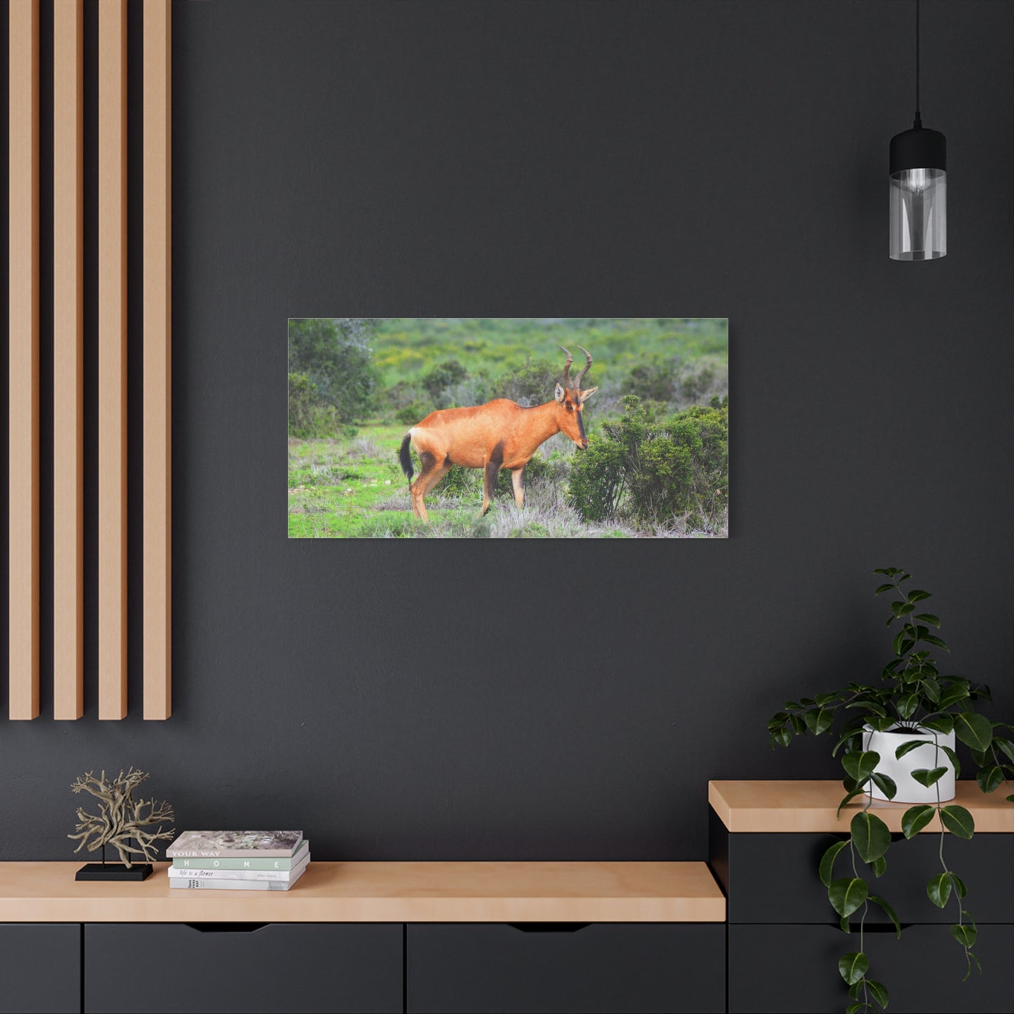 Africa Red Hartebeest - Canvas Print