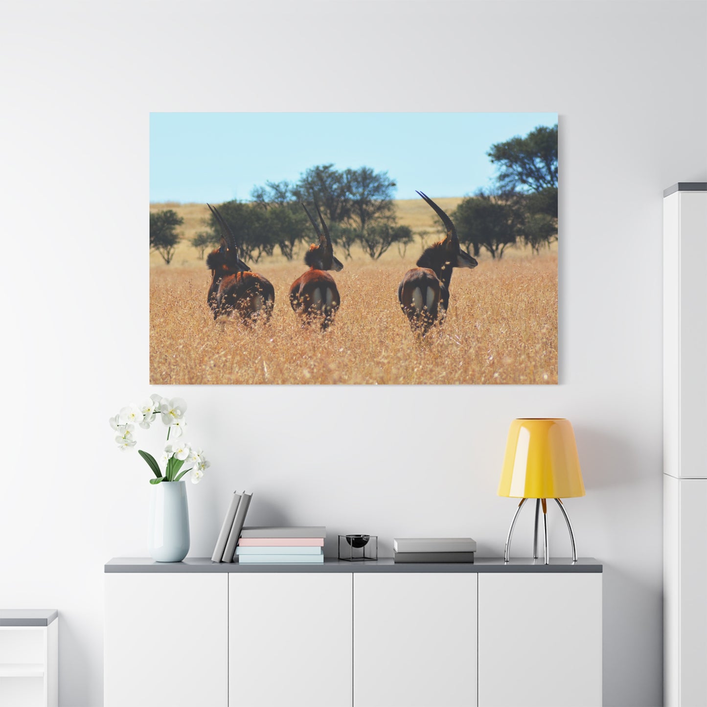 Sable Trio in Africa Canvas Print