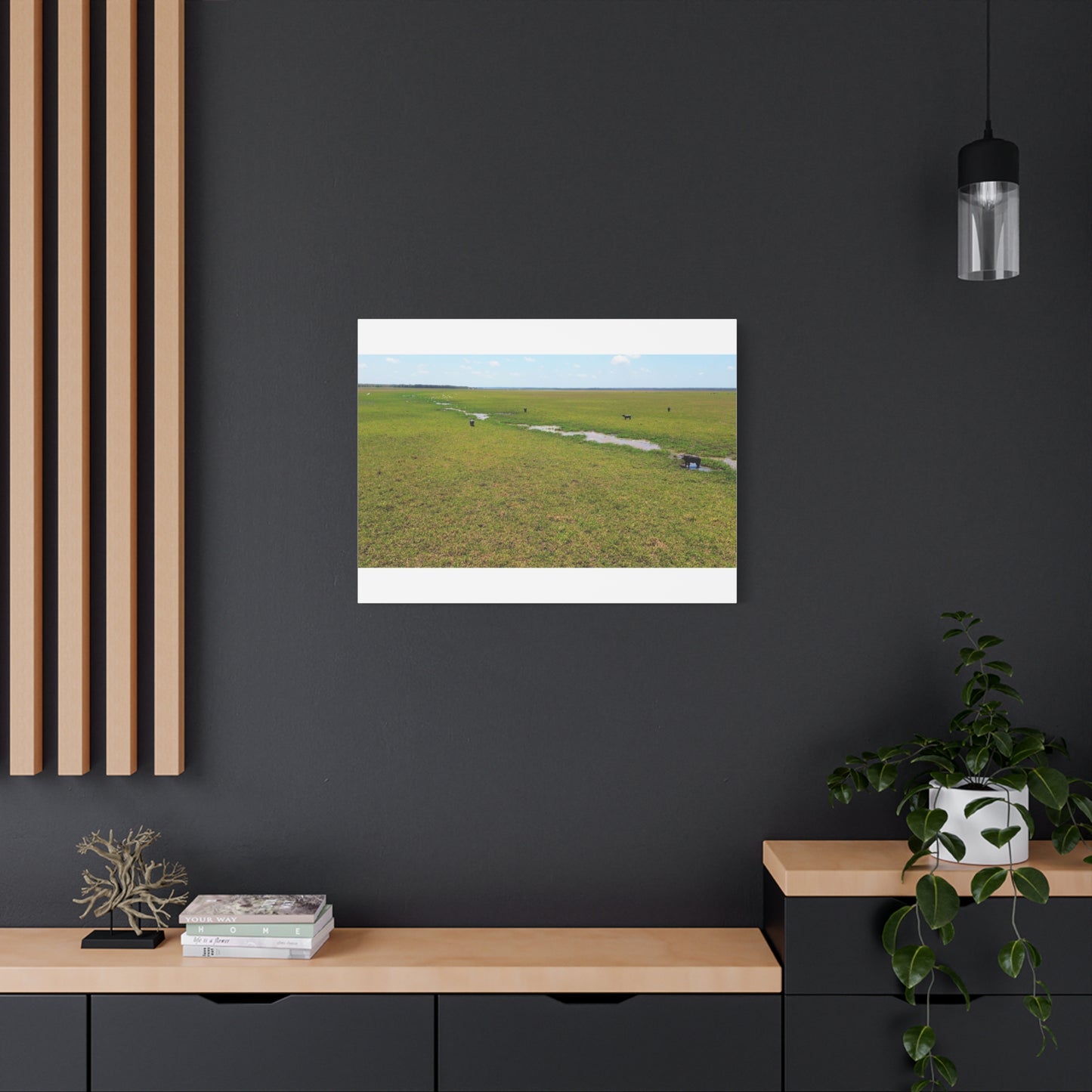 Asiatic Water Buffalo Australian Outback - Canvas Print