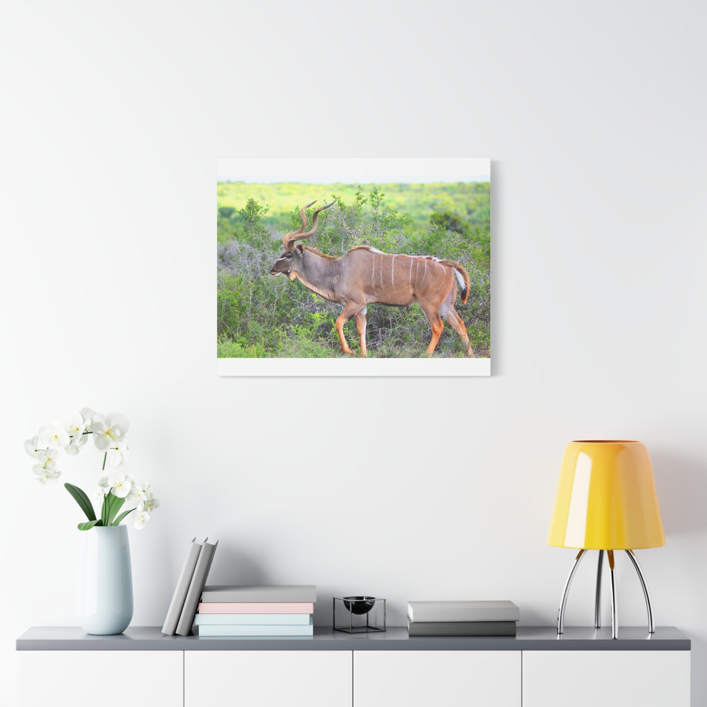 Africa Kudu Bull - Canvas Print