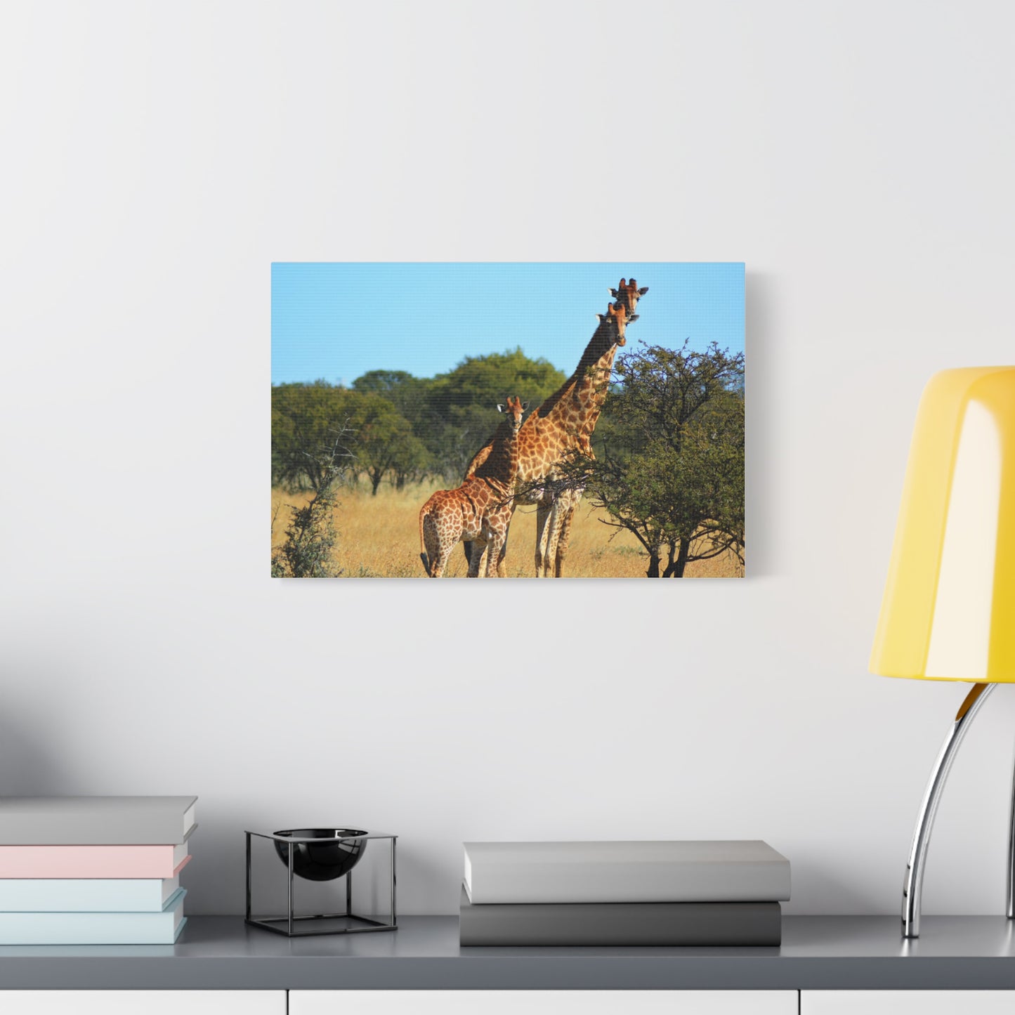 Giraffe Family in Africa