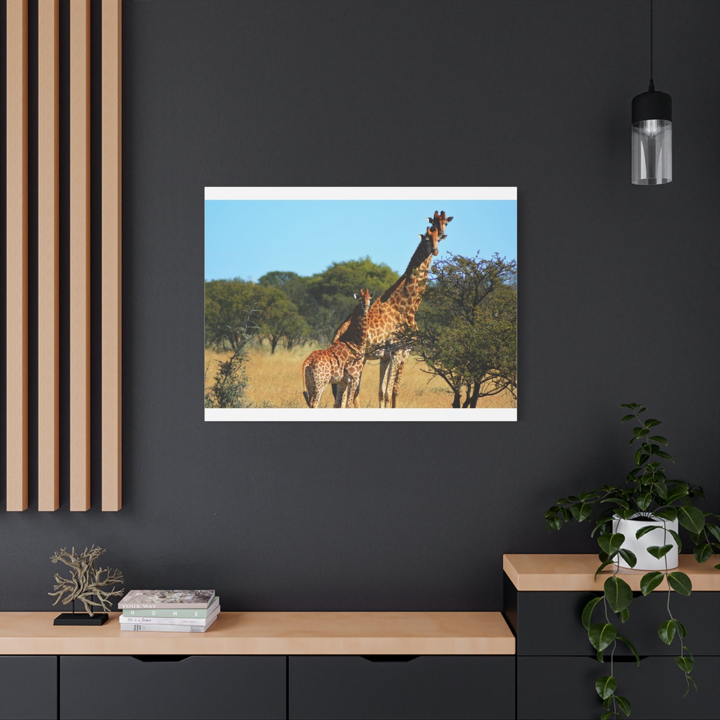 Giraffe Family in Africa