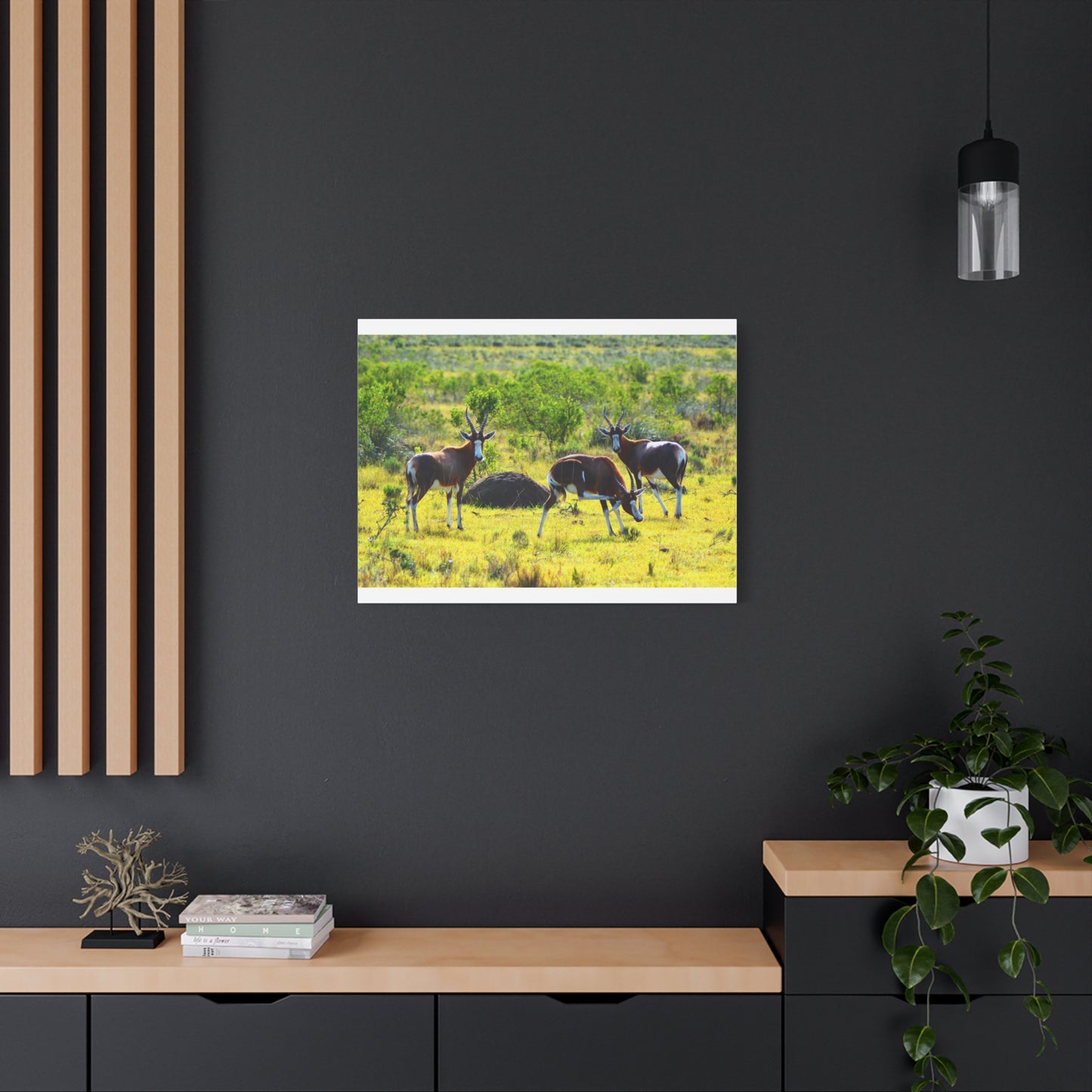 Blesbok in Africa - Canvas Print