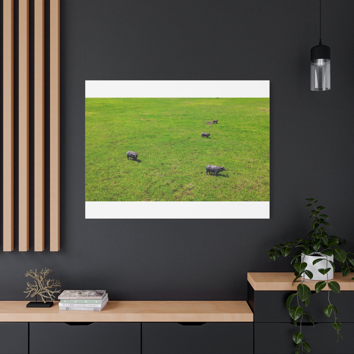 Asiatic Water Buffalo - Canvas Print