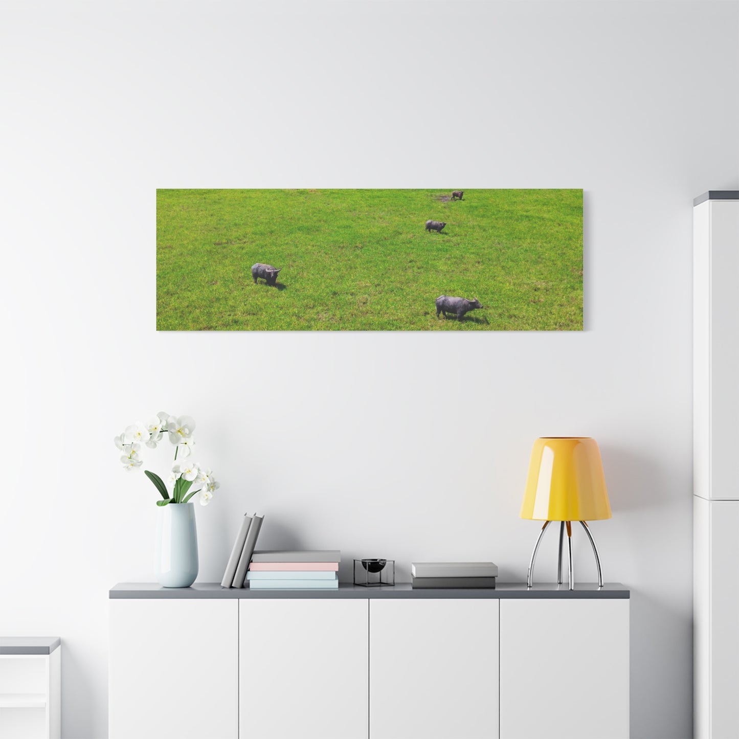 Asiatic Water Buffalo - Canvas Print