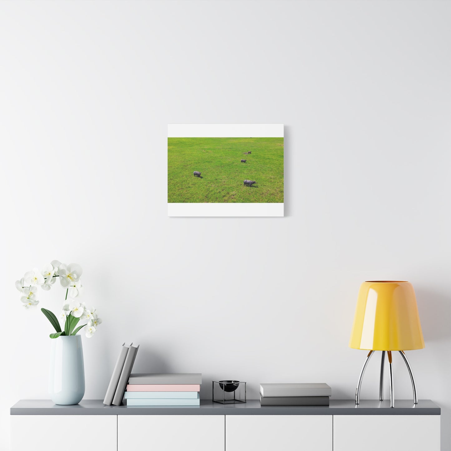 Asiatic Water Buffalo - Canvas Print