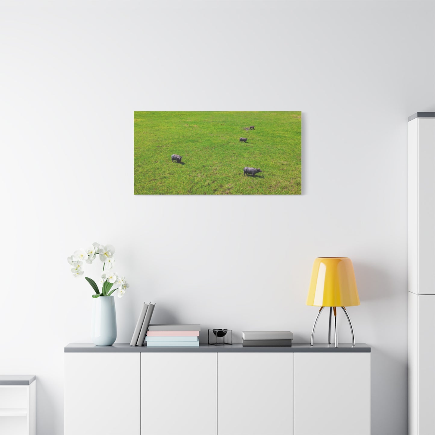 Asiatic Water Buffalo - Canvas Print