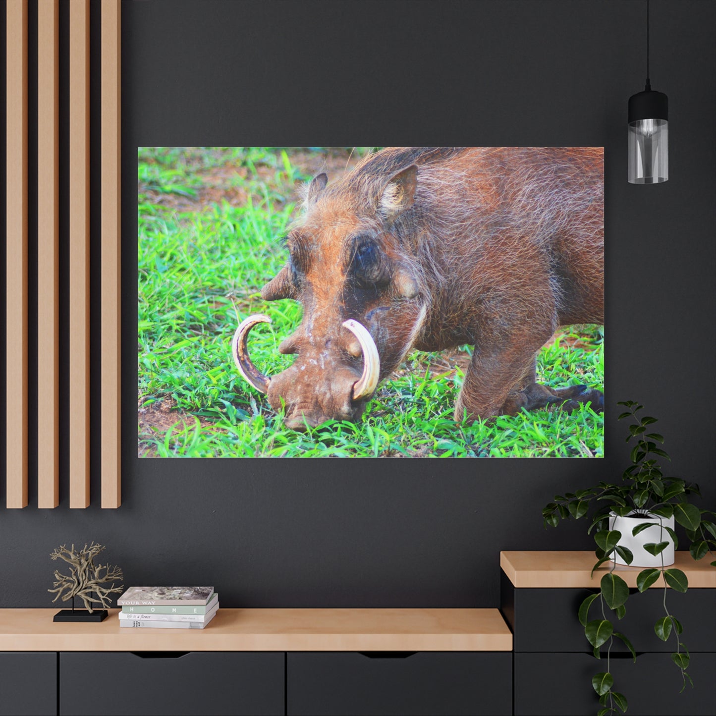 African Warthog Eating - Canvas Print