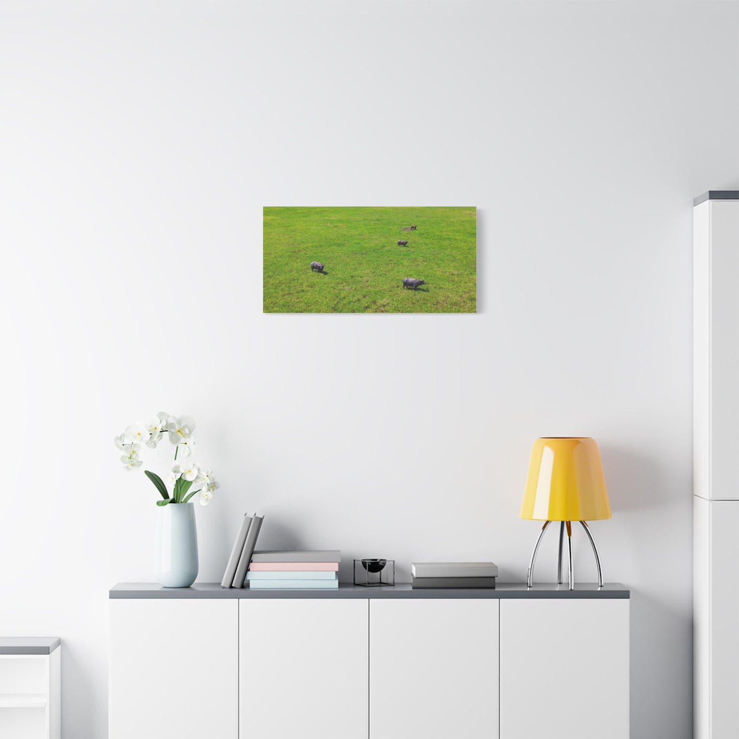 Asiatic Water Buffalo - Canvas Print