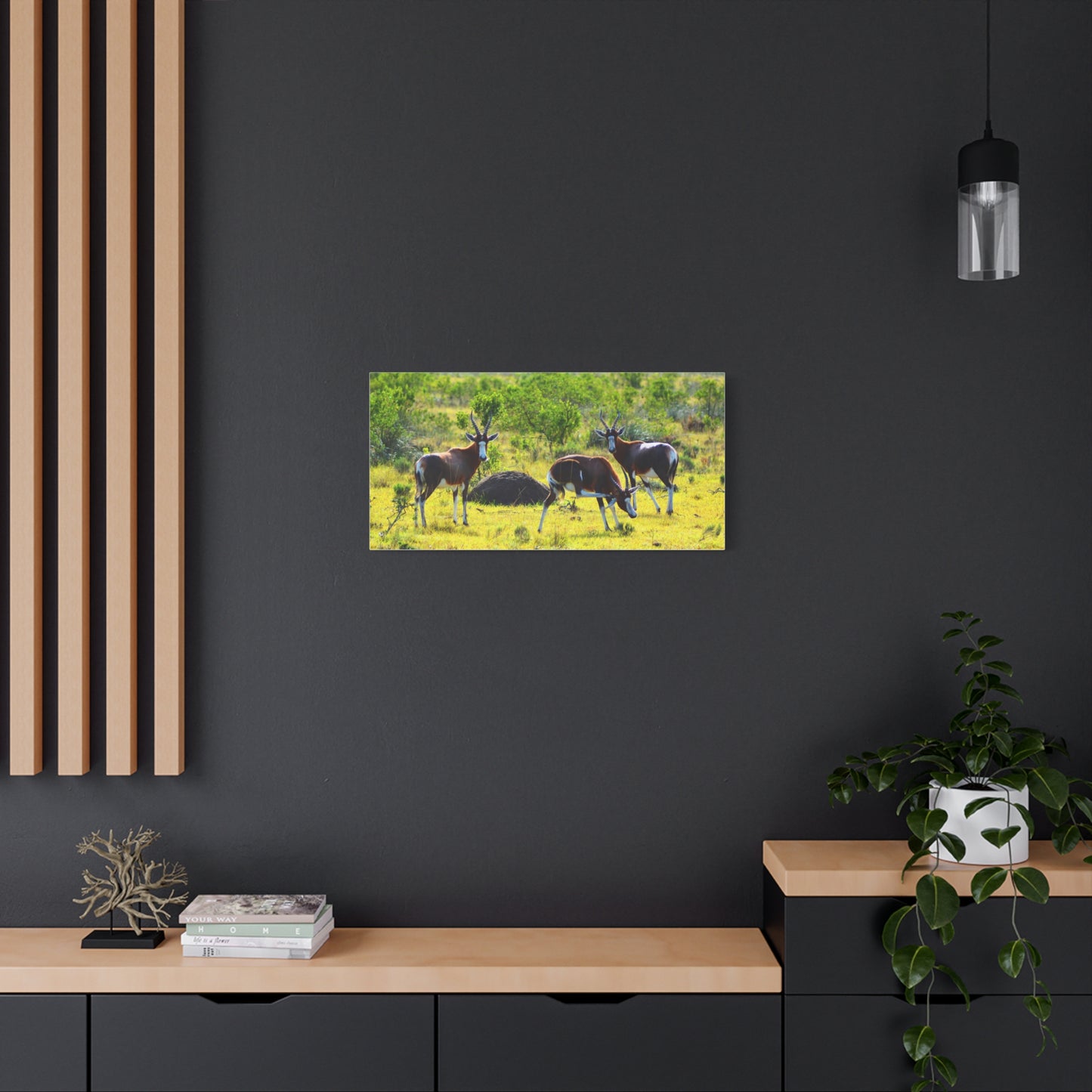 Blesbok in Africa - Canvas Print