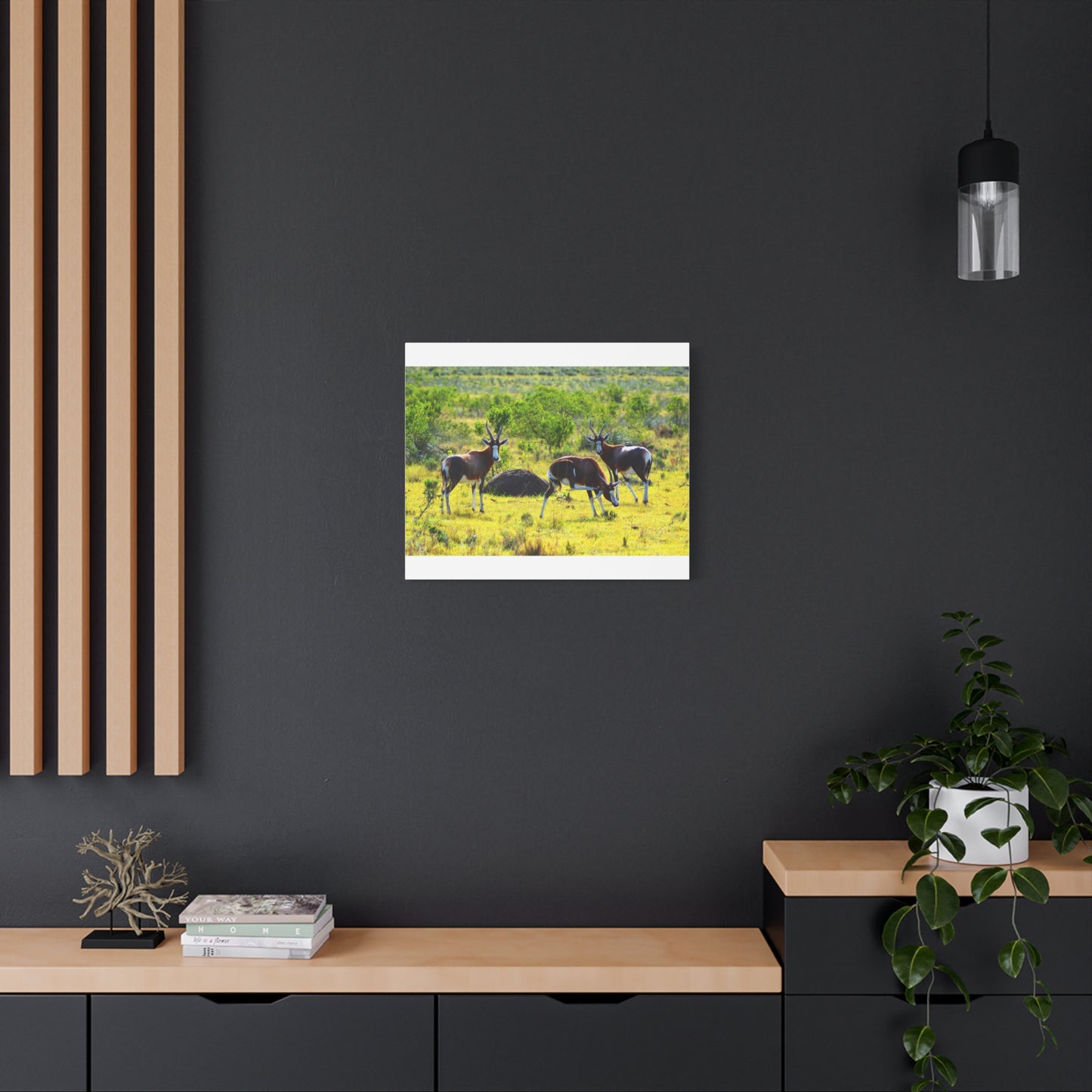 Blesbok in Africa - Canvas Print