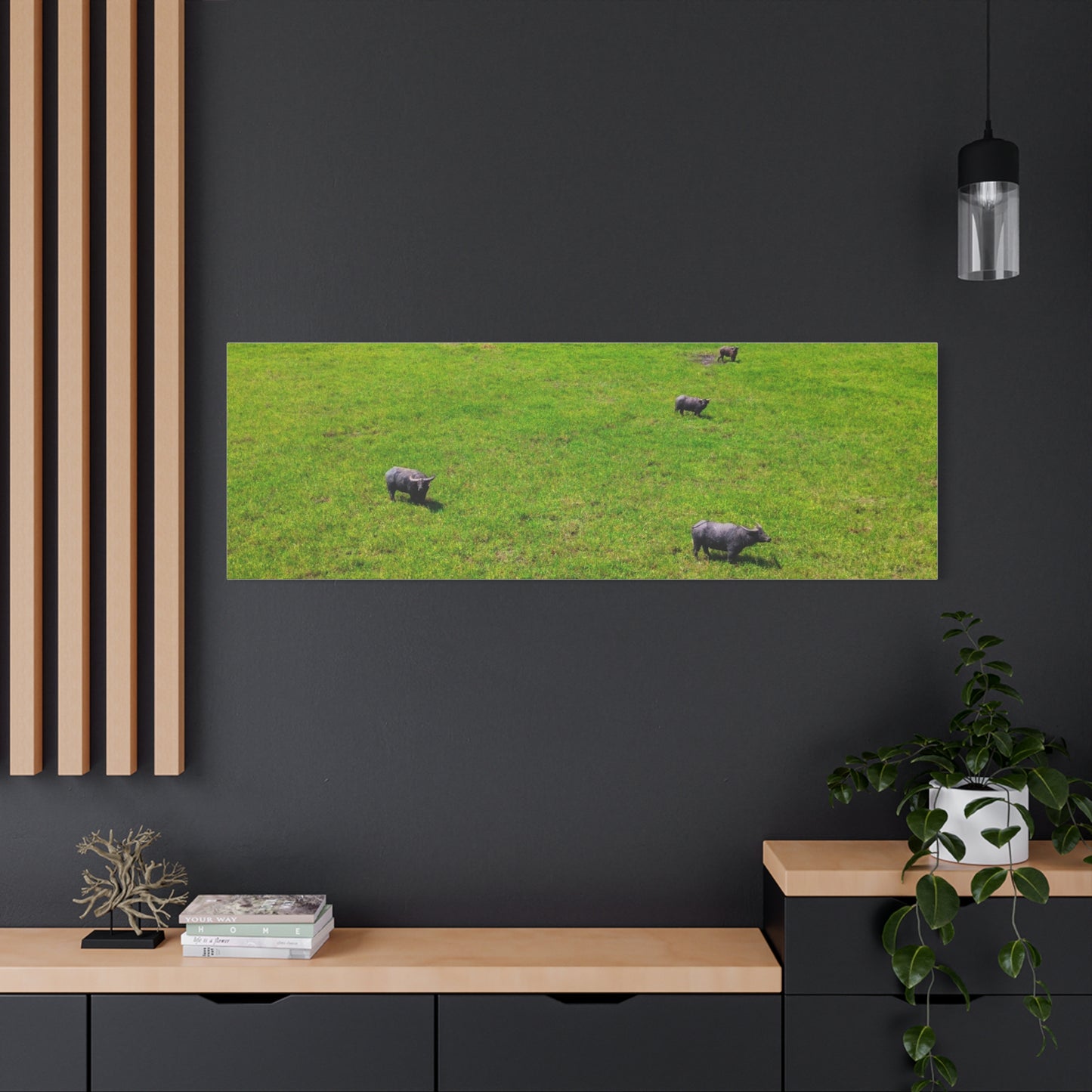 Asiatic Water Buffalo - Canvas Print