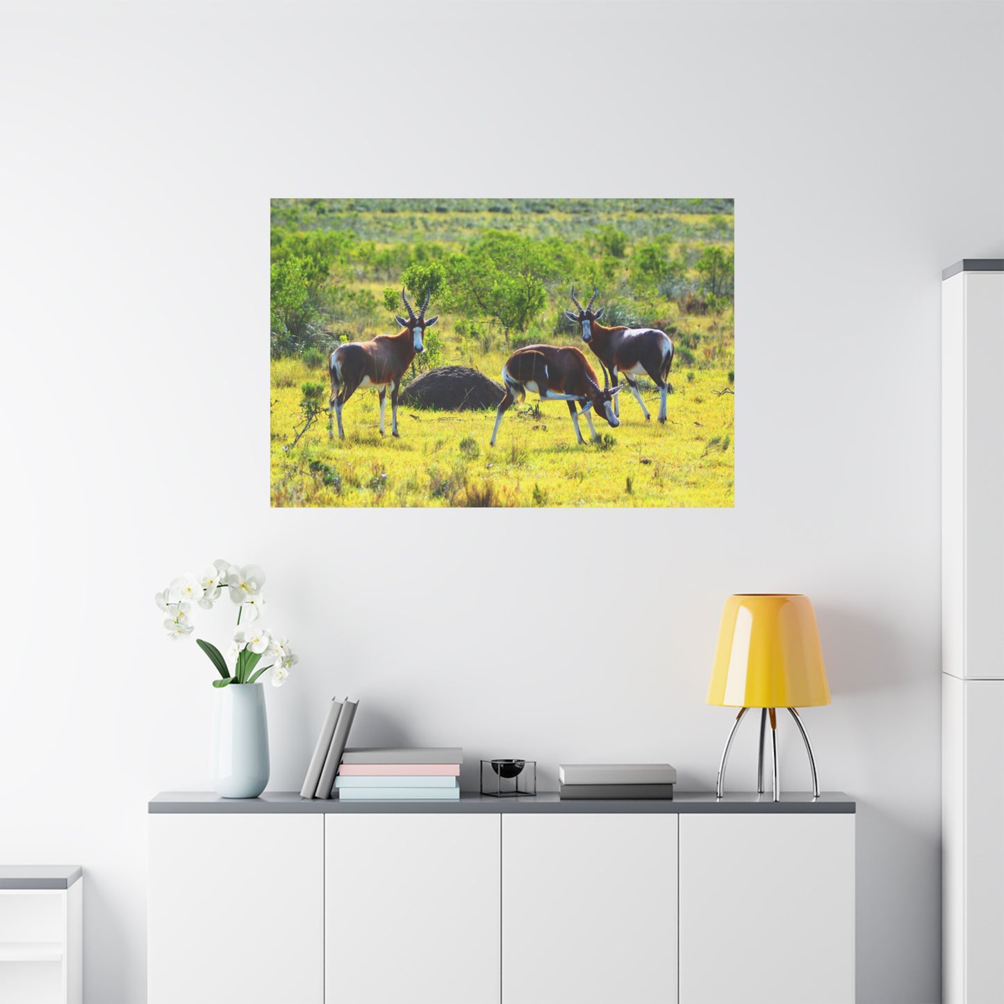 Blesbok in Africa - Canvas Print