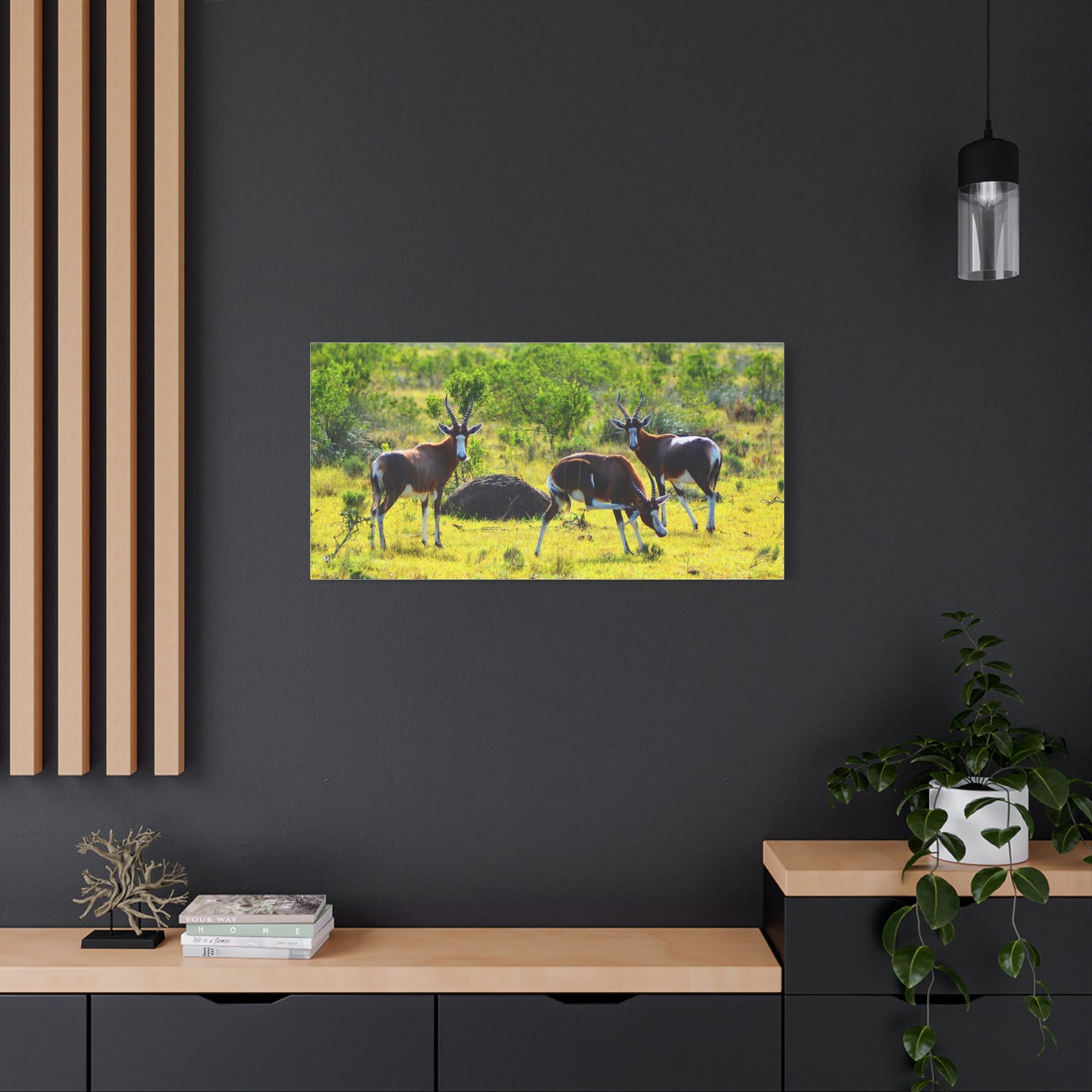 Blesbok in Africa - Canvas Print