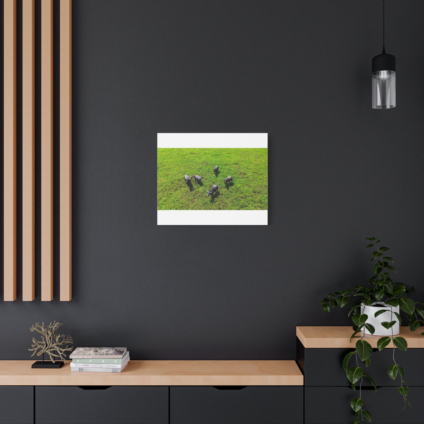 Australia Water Buffalo - Canvas Print