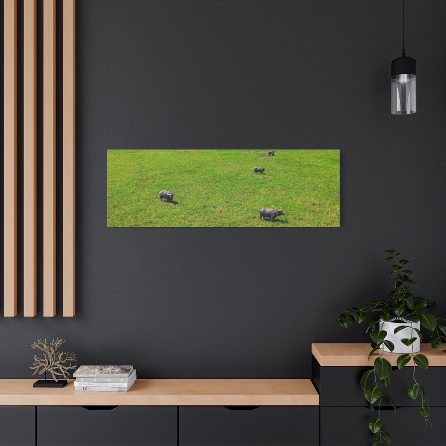 Asiatic Water Buffalo - Canvas Print