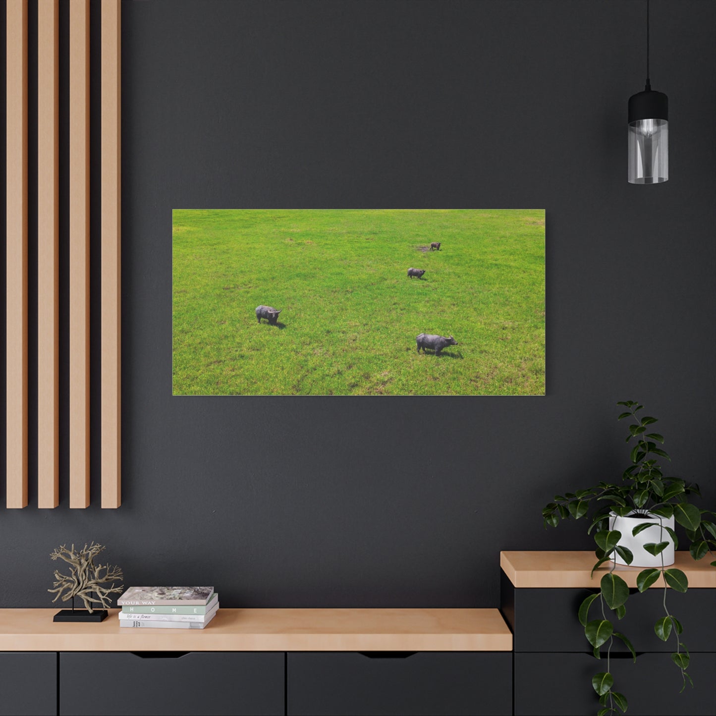 Asiatic Water Buffalo - Canvas Print
