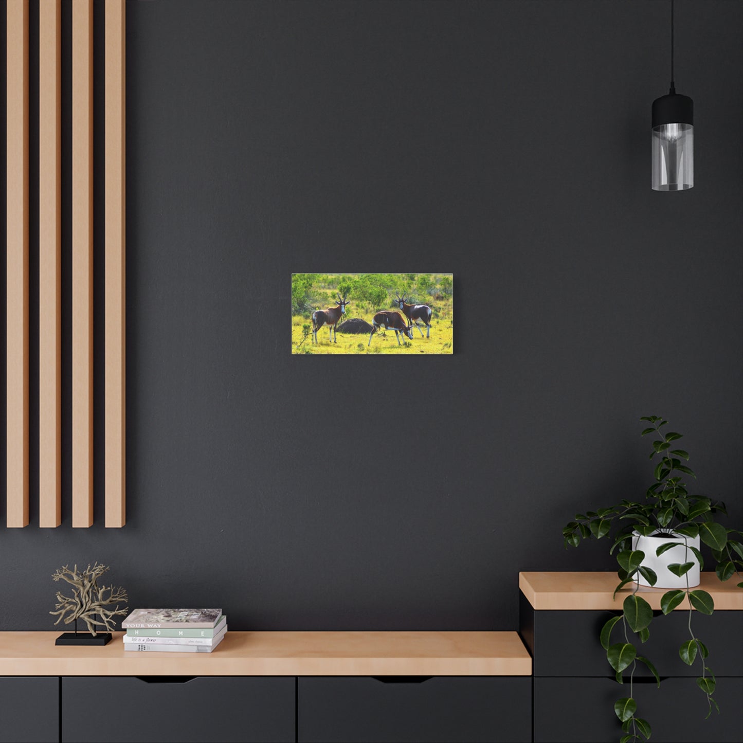 Blesbok in Africa - Canvas Print
