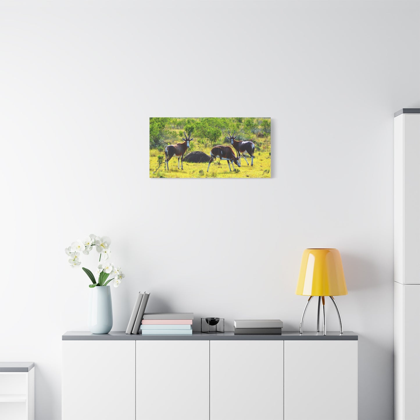Blesbok in Africa - Canvas Print