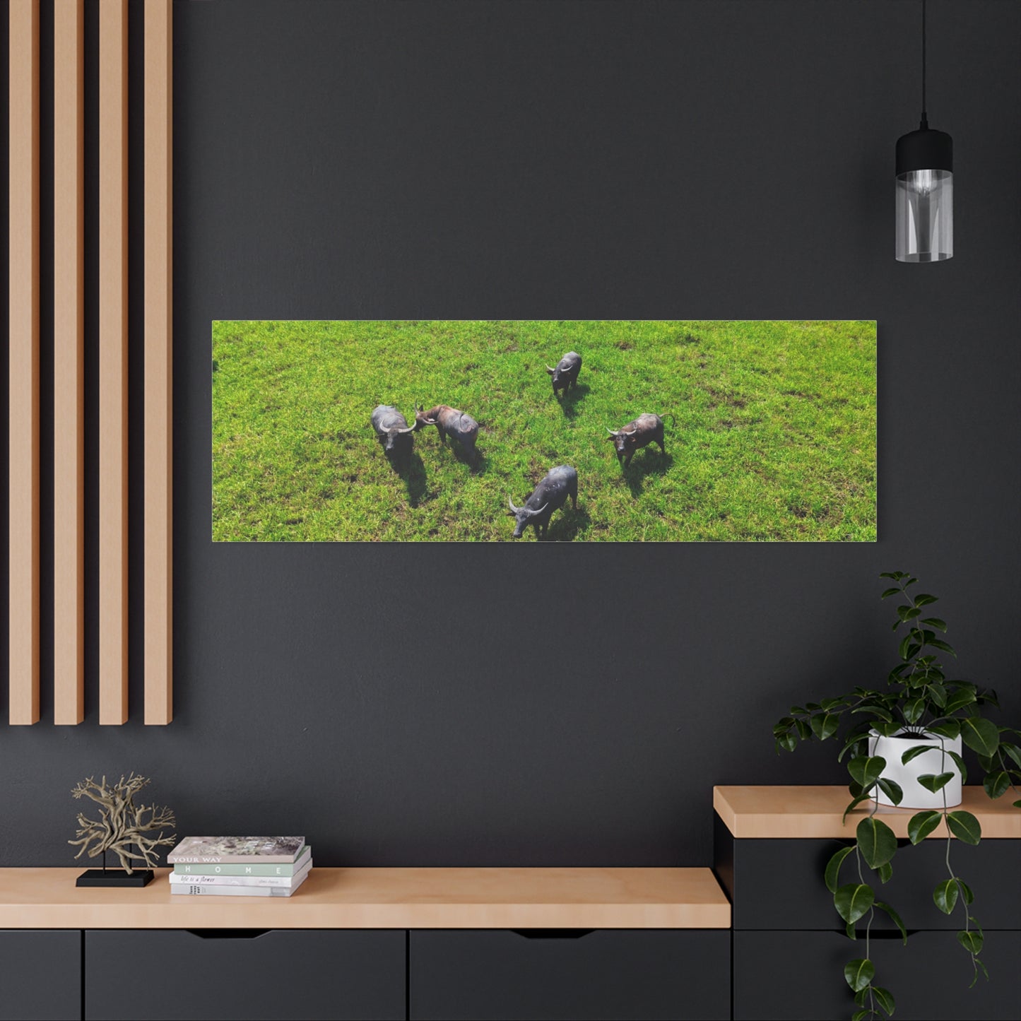 Australia Water Buffalo - Canvas Print