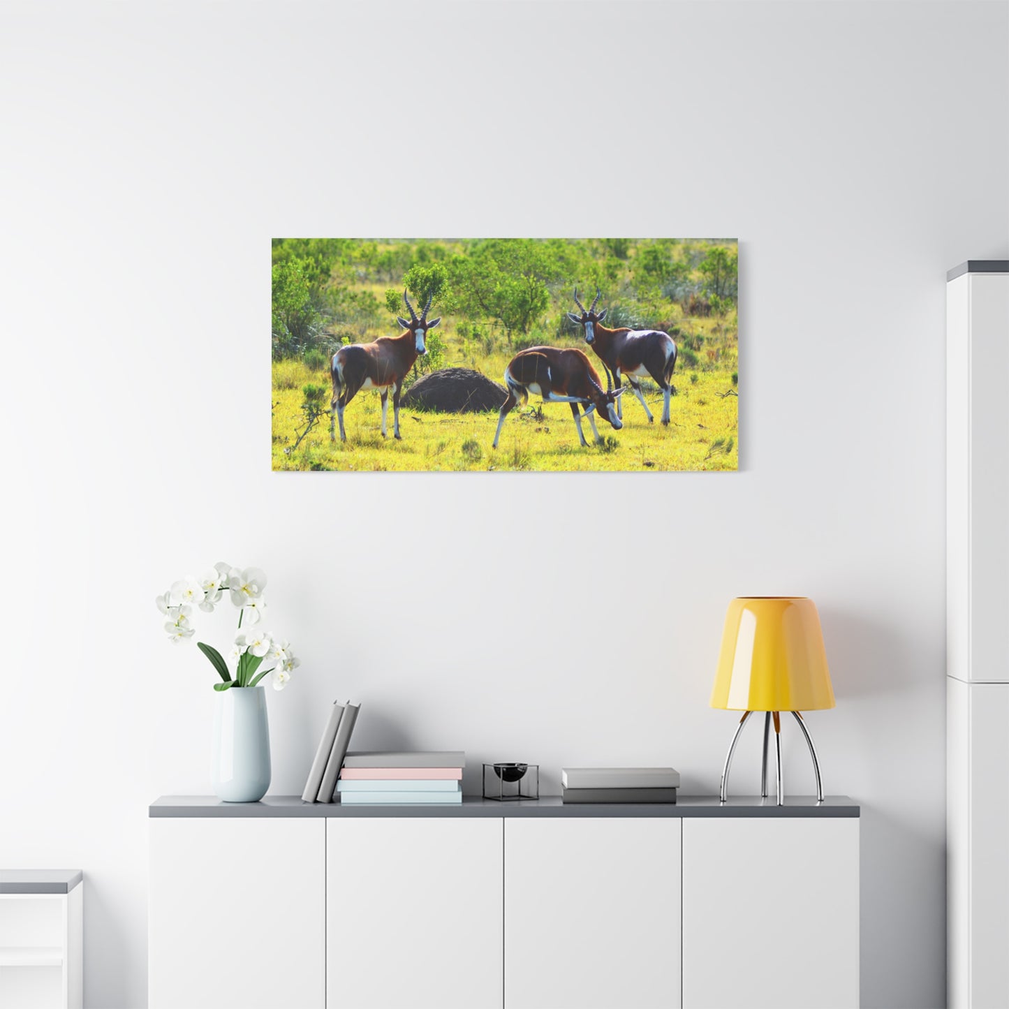 Blesbok in Africa - Canvas Print