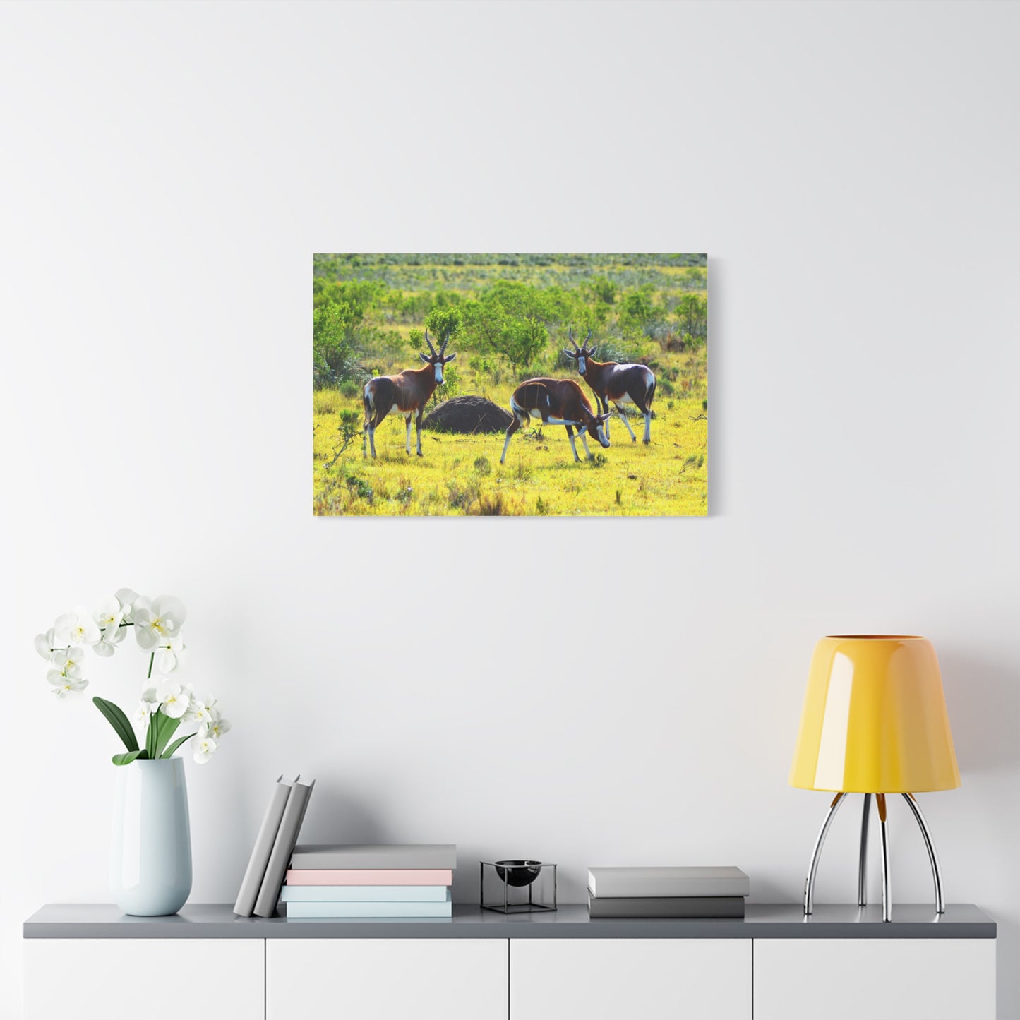 Blesbok in Africa - Canvas Print