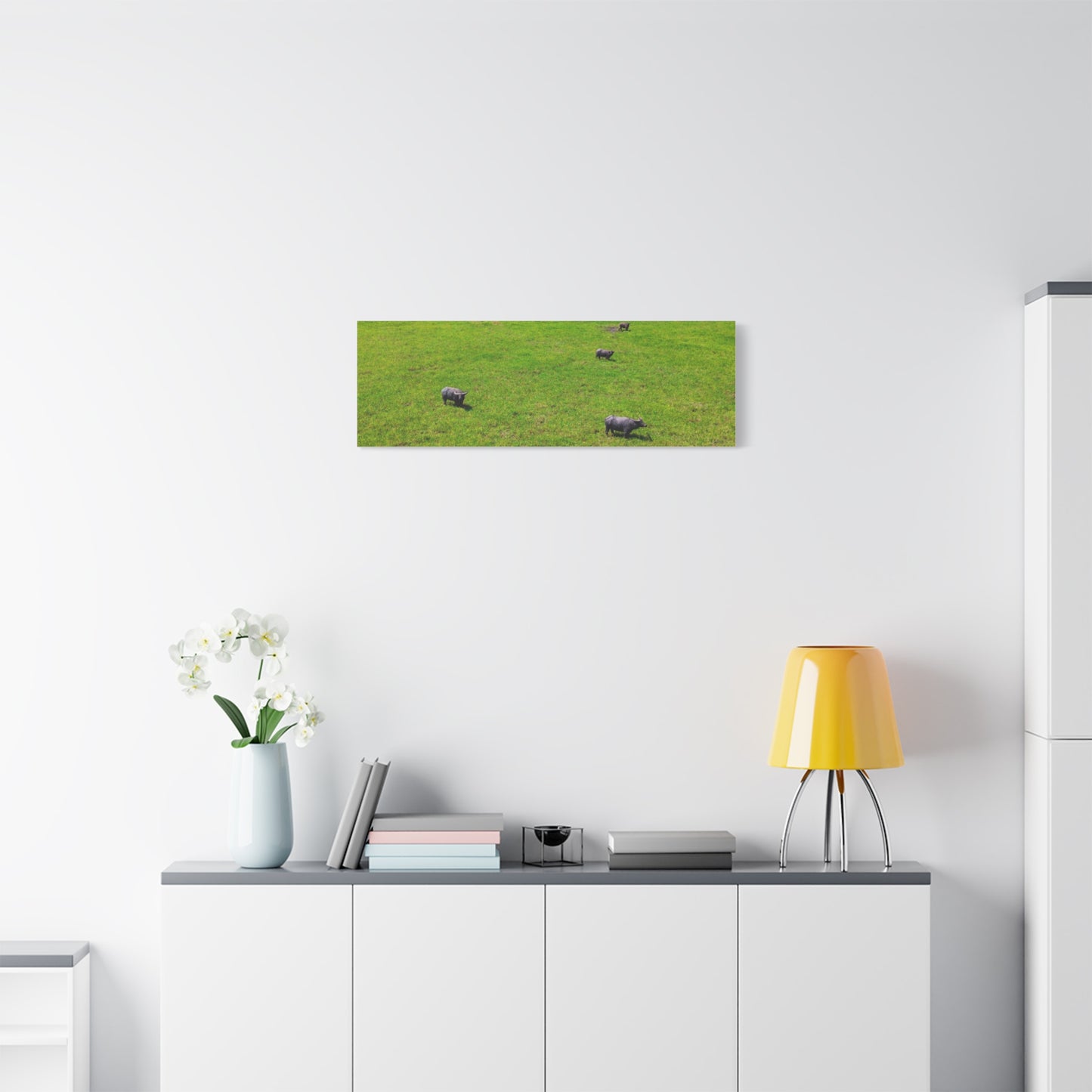 Asiatic Water Buffalo - Canvas Print